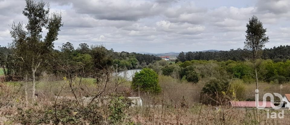 Building plot in Tamel (São Veríssimo) of 18,281 m²