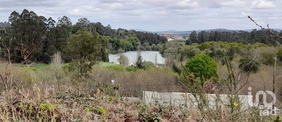 Building plot in Tamel (São Veríssimo) of 18,281 m²