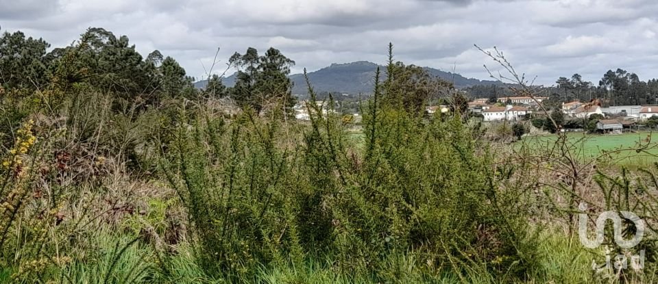 Building plot in Tamel (São Veríssimo) of 18,281 m²