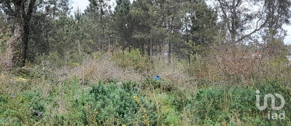 Building plot in Tamel (São Veríssimo) of 18,281 m²