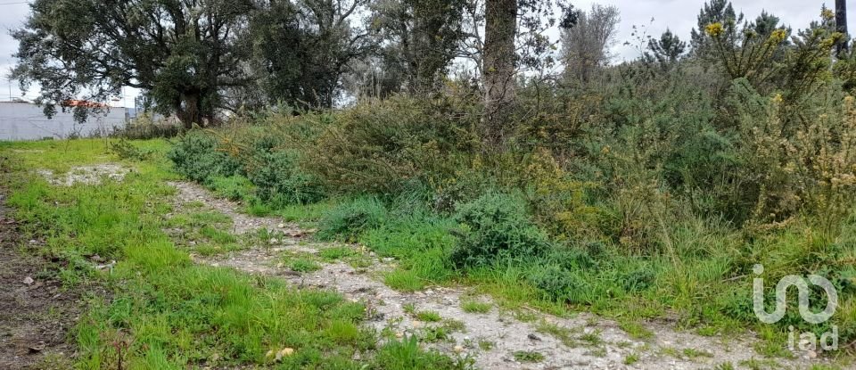 Building plot in Tamel (São Veríssimo) of 18,281 m²