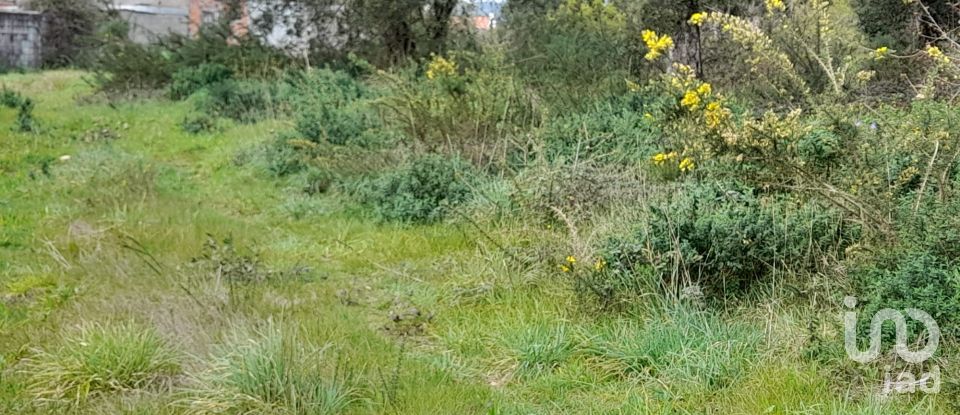 Building plot in Tamel (São Veríssimo) of 18,281 m²