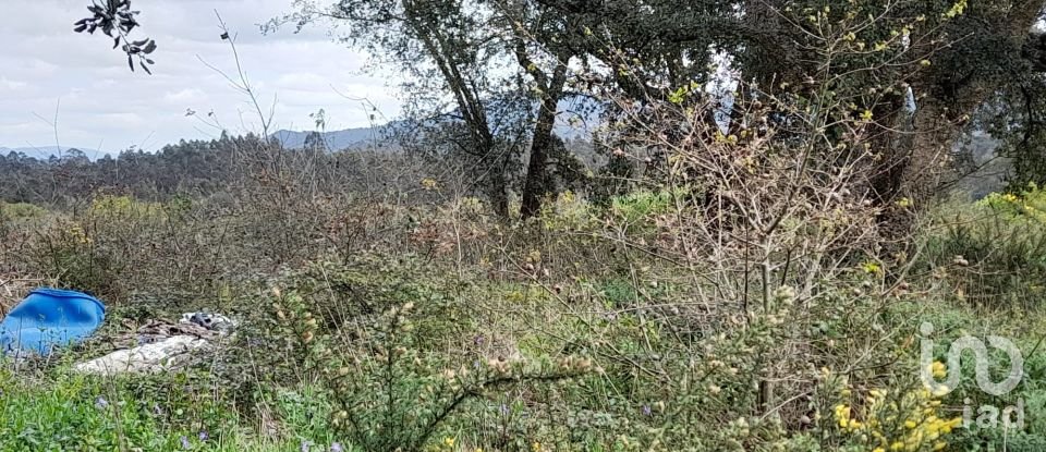 Building plot in Tamel (São Veríssimo) of 18,281 m²