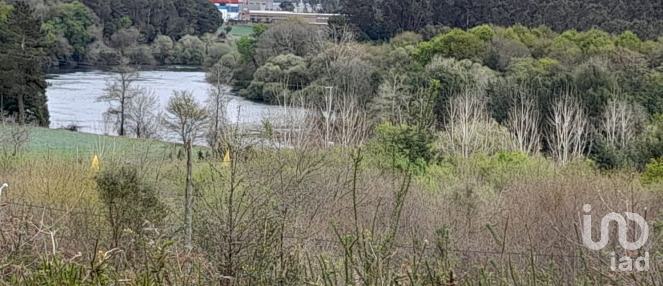 Building plot in Tamel (São Veríssimo) of 18,281 m²