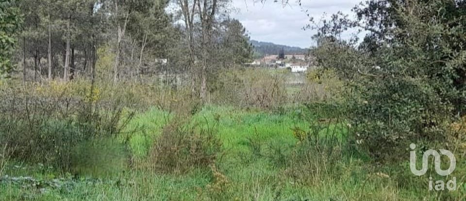 Building plot in Tamel (São Veríssimo) of 18,281 m²