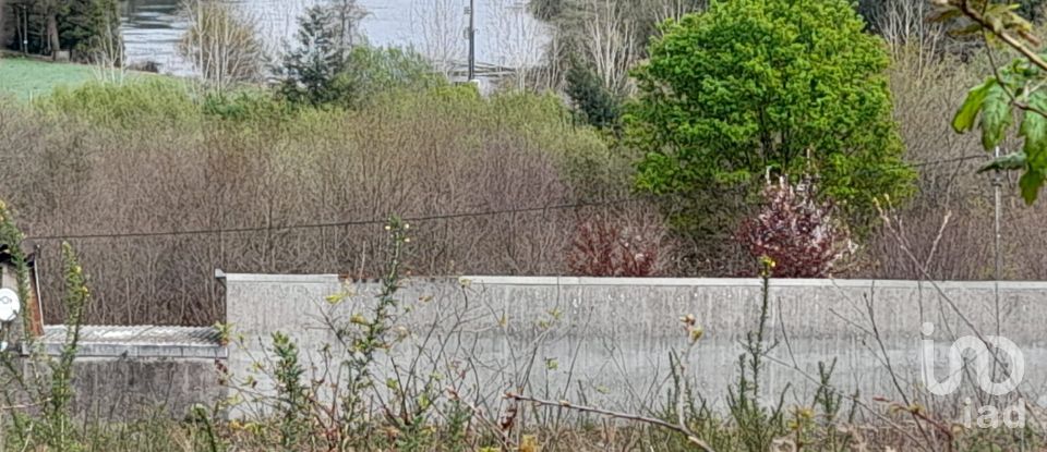 Building plot in Tamel (São Veríssimo) of 18,281 m²