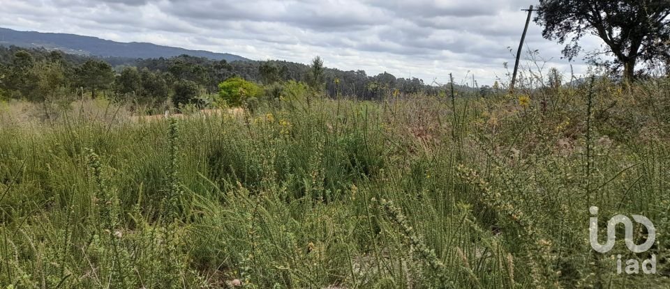 Building plot in Tamel (São Veríssimo) of 18,281 m²