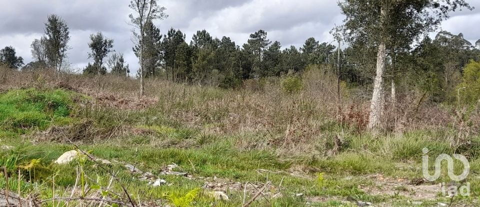 Building plot in Tamel (São Veríssimo) of 18,281 m²