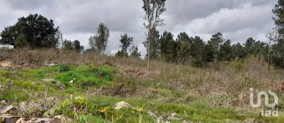 Building plot in Tamel (São Veríssimo) of 18,281 m²