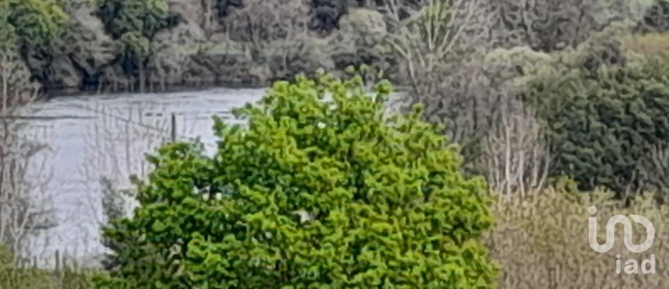 Building plot in Tamel (São Veríssimo) of 18,281 m²