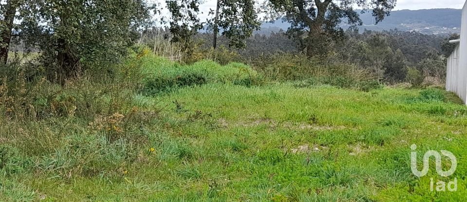 Building plot in Tamel (São Veríssimo) of 18,281 m²