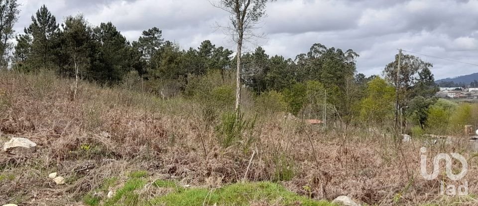 Building plot in Tamel (São Veríssimo) of 18,281 m²