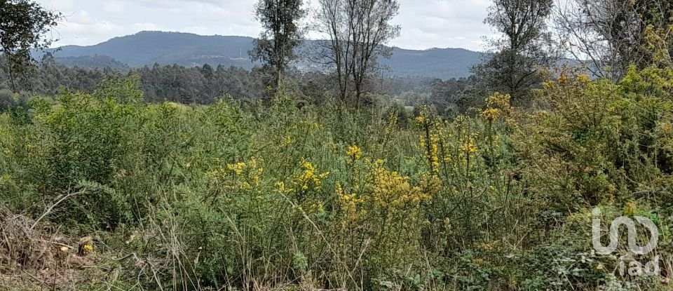 Building plot in Tamel (São Veríssimo) of 18,281 m²