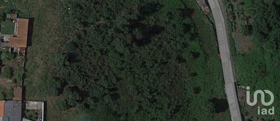 Building plot in Tamel (São Veríssimo) of 18,281 m²