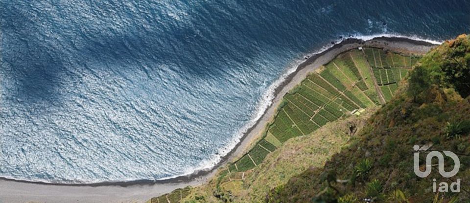 Gîte T3 à Arco da Calheta de 330 m²