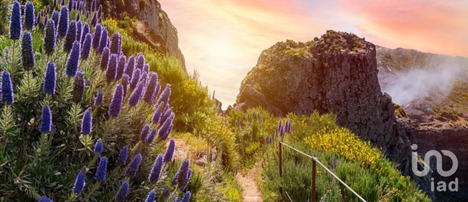 Gîte T3 à Arco da Calheta de 330 m²