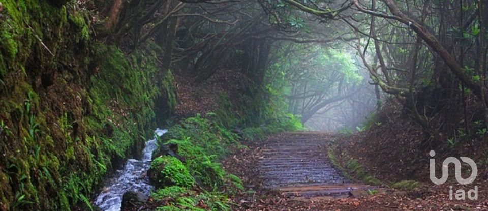 Gîte T3 à Arco da Calheta de 330 m²