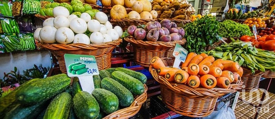 Gîte T3 à Arco da Calheta de 330 m²