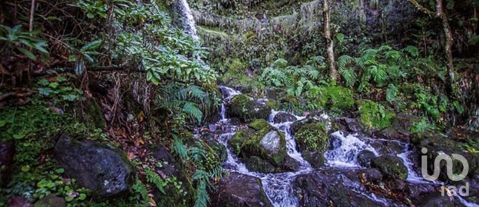 Gîte T3 à Arco da Calheta de 330 m²