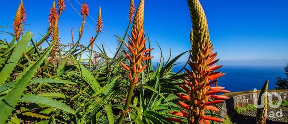 Gîte T3 à Arco da Calheta de 330 m²