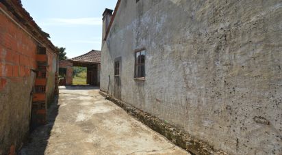 Maison de village T2 à Alvorge de 128 m²