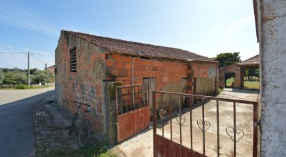 Maison de village T2 à Alvorge de 128 m²