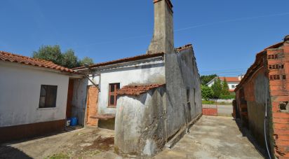 Maison de village T2 à Alvorge de 128 m²