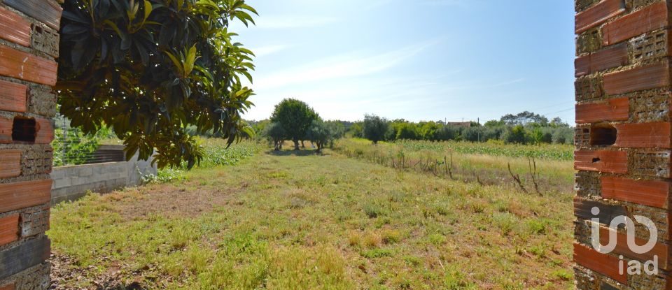 Casa de aldeia T2 em Alvorge de 128 m²