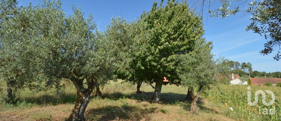 Casa de aldeia T2 em Alvorge de 128 m²