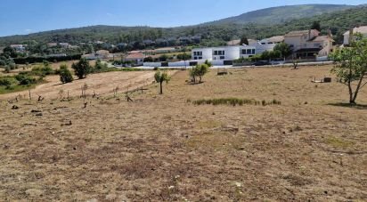 Terrain à Porto de Mós - São João Baptista e São Pedro de 1 840 m²