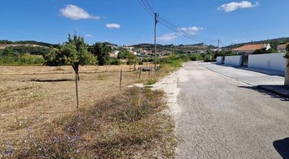 Terrain à Porto de Mós - São João Baptista e São Pedro de 1 840 m²