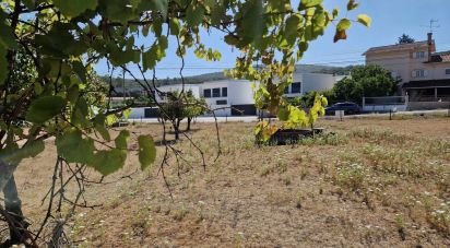Terrain à Porto de Mós - São João Baptista e São Pedro de 1 840 m²