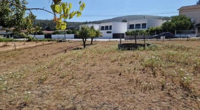 Terrain à Porto de Mós - São João Baptista e São Pedro de 1 840 m²