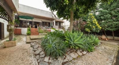 Maison T4 à Mira de Aire de 206 m²