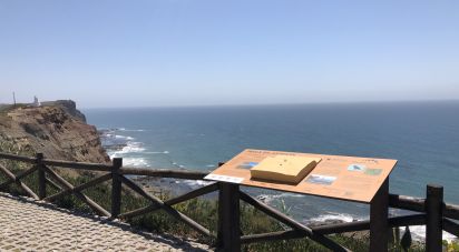 Terrain à bâtir à São Pedro da Cadeira de 7 830 m²