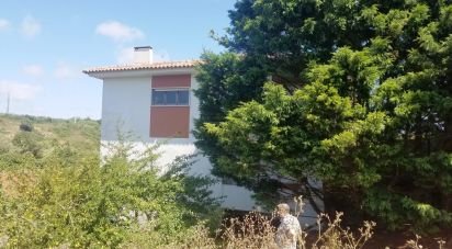 Maison traditionnelle T6 à Atouguia da Baleia de 315 m²