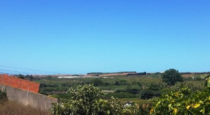 Maison traditionnelle T6 à Atouguia da Baleia de 315 m²