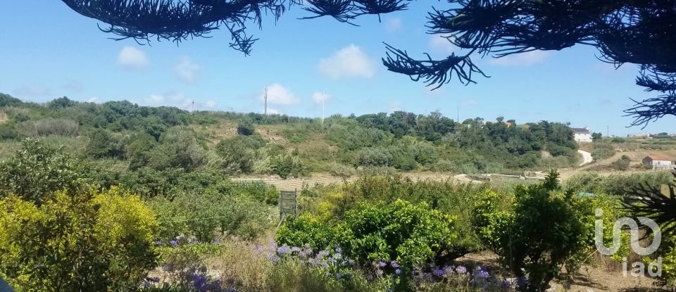 Casa tradicional T6 em Atouguia da Baleia de 315 m²