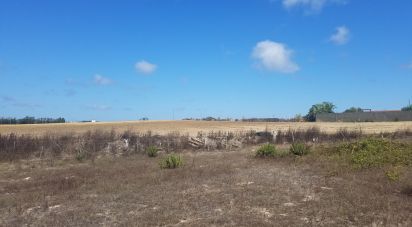 Terrain à Atouguia da Baleia de 8 000 m²