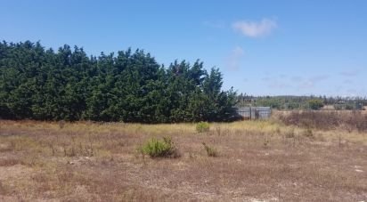 Terrain à Atouguia da Baleia de 8 000 m²