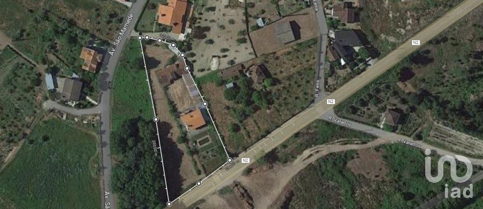 House T6 in São Miguel do Outeiro e Sabugosa of 509 m²