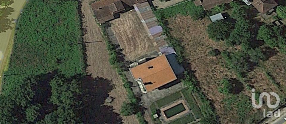 House T6 in São Miguel do Outeiro e Sabugosa of 509 m²