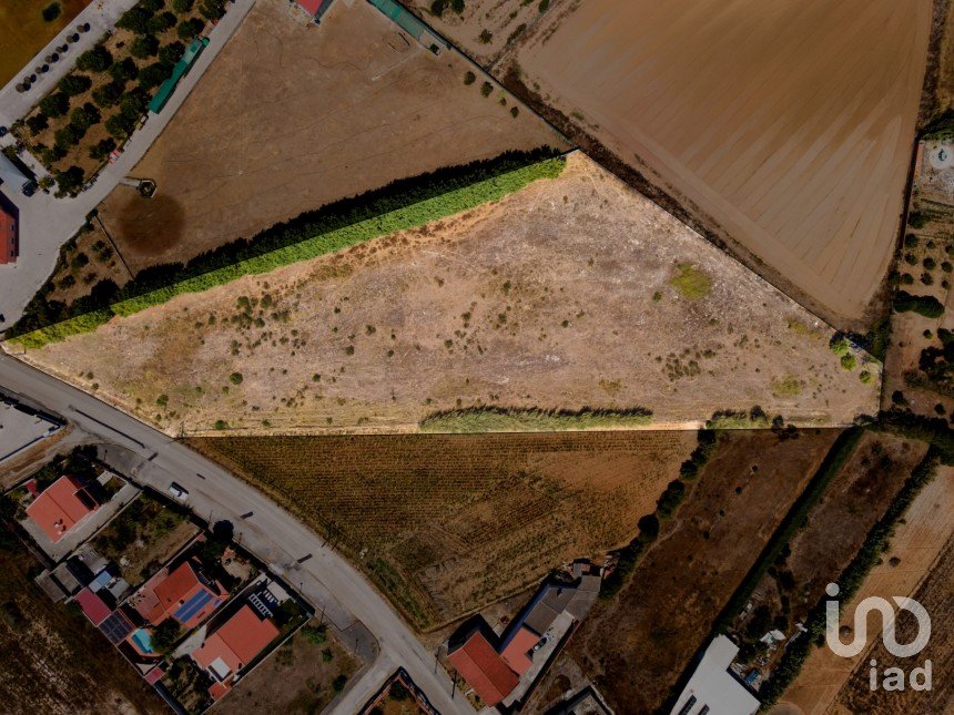 Land in Atouguia da Baleia of 8,000 m²