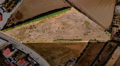 Terrain à Atouguia da Baleia de 8 000 m²