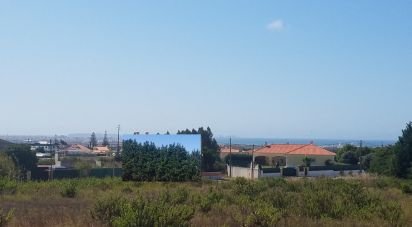 Land in Atouguia da Baleia of 8,000 m²