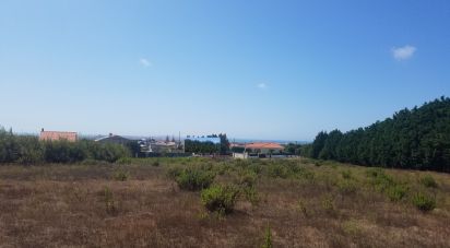 Terrain à Atouguia da Baleia de 8 000 m²