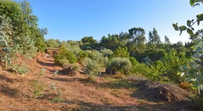 Terrain agricole à Lamas de 6 000 m²