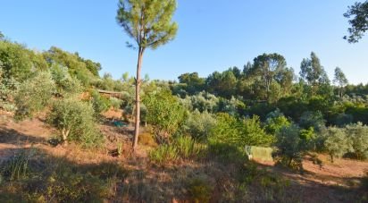 Terrain agricole à Lamas de 6 000 m²