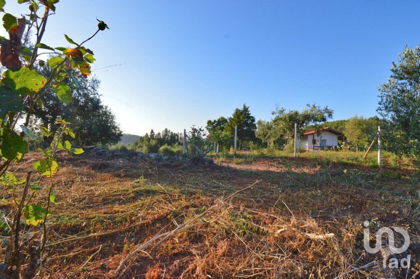 Agricultural land in Lamas of 6,000 m²