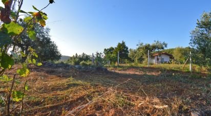 Terrain agricole à Lamas de 6 000 m²
